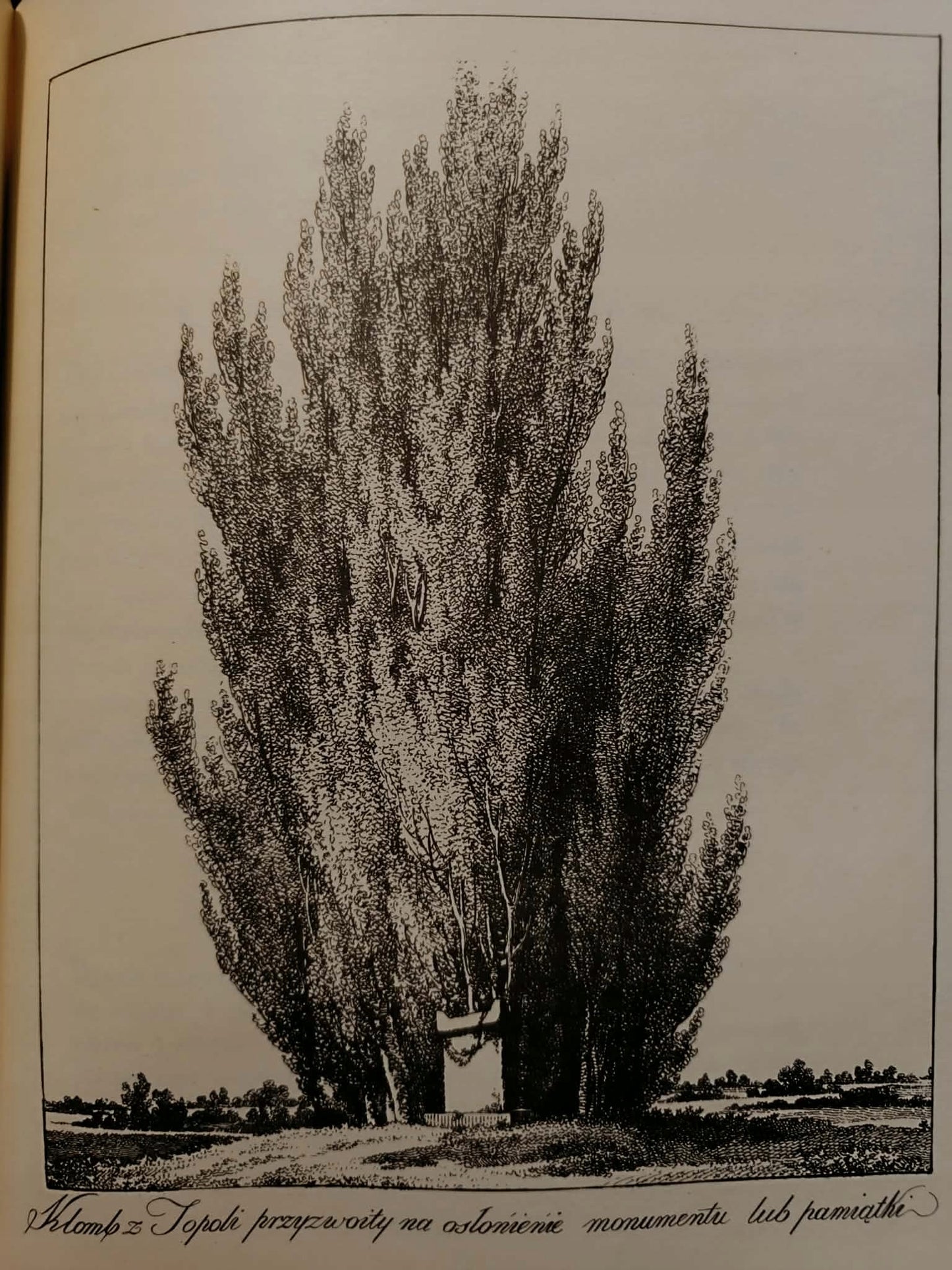 Myśli różne o sposobie zakładania ogrodów przez Izabelę Czartoryską [1805]