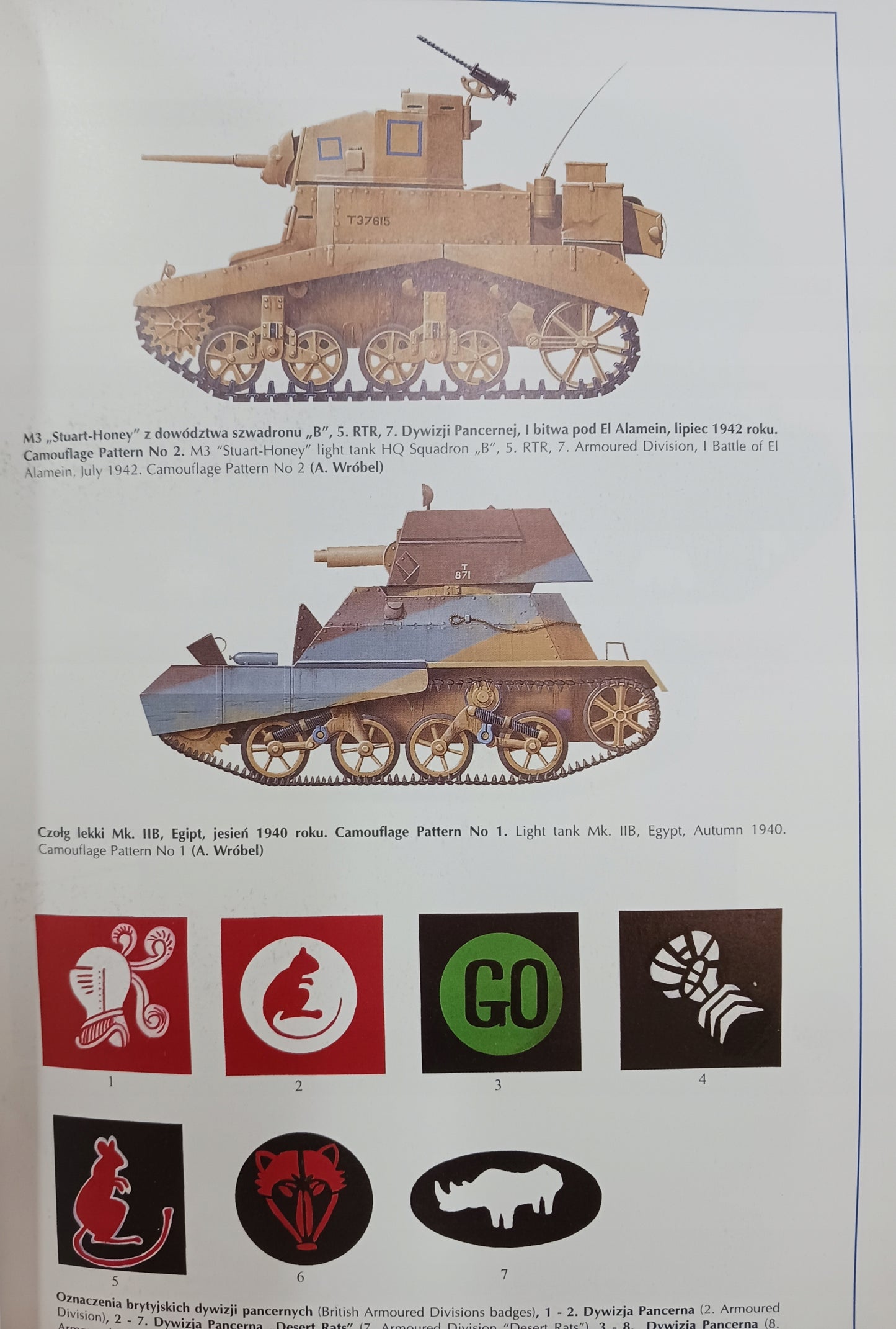 Afryka 1940-1943, Włochy 1943-1945 malowanie i oznakowanie J. Ledwoch