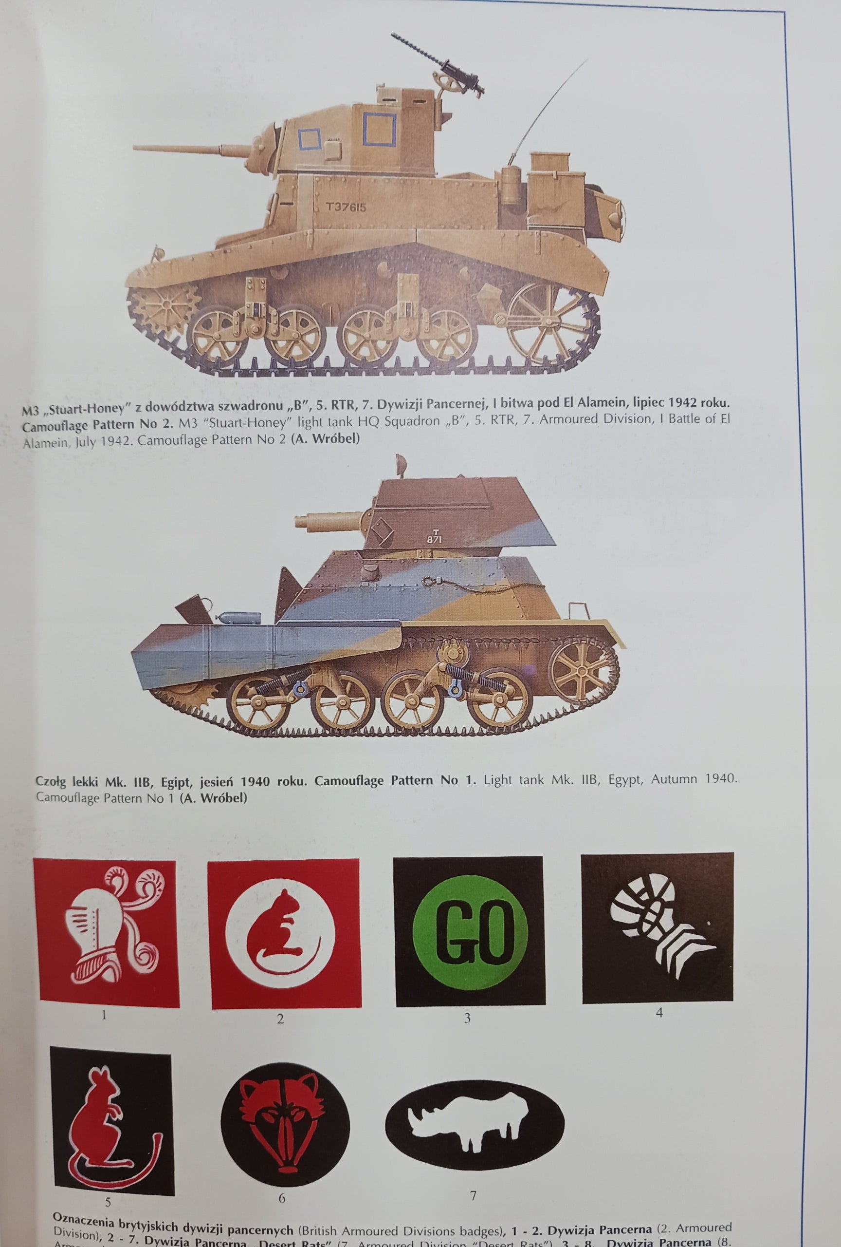 Afryka 1940-1943, Włochy 1943-1945 malowanie i oznakowanie J. Ledwoch