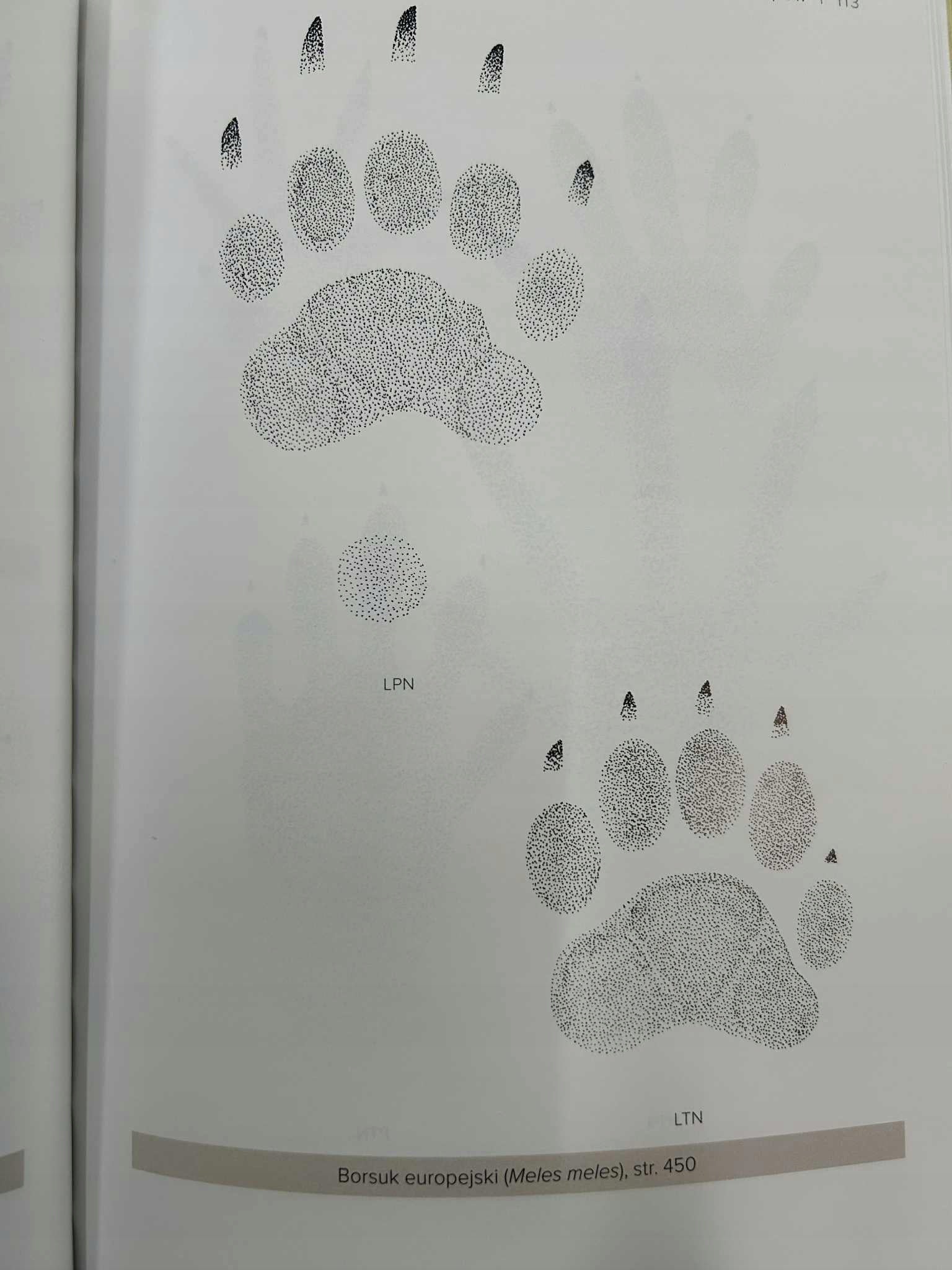 230d239c3f7b4f1a2acca4bac26ce67b