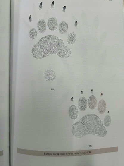 230d239c3f7b4f1a2acca4bac26ce67b