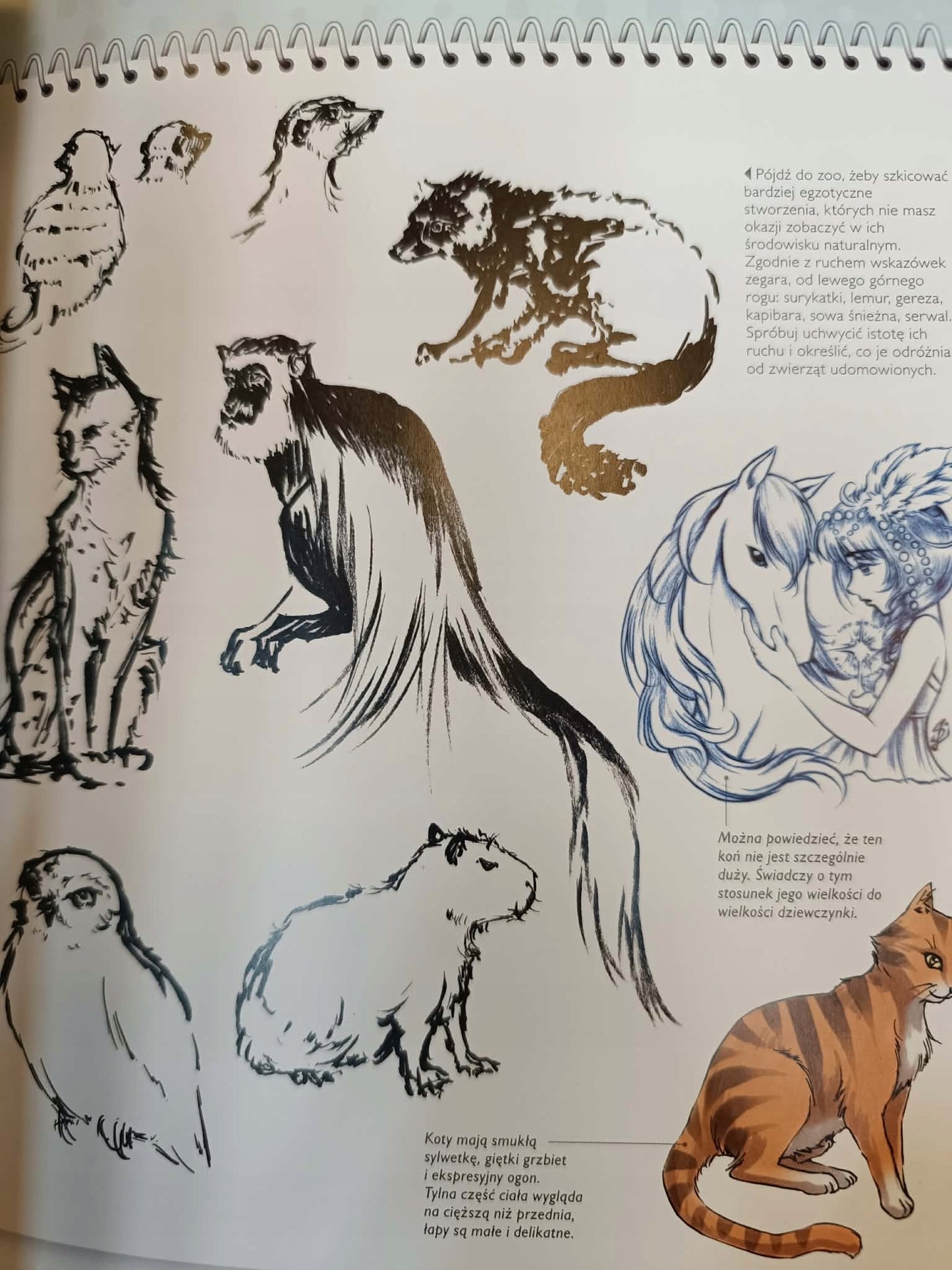 Manga Podręcznik rysowania Sonia Leong [liczne ilustracje]