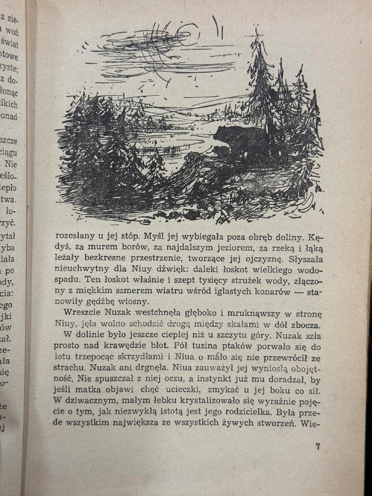 Włóczęgi północy James Oliver Curwood [1954][il. i okładka J. Grabiański]