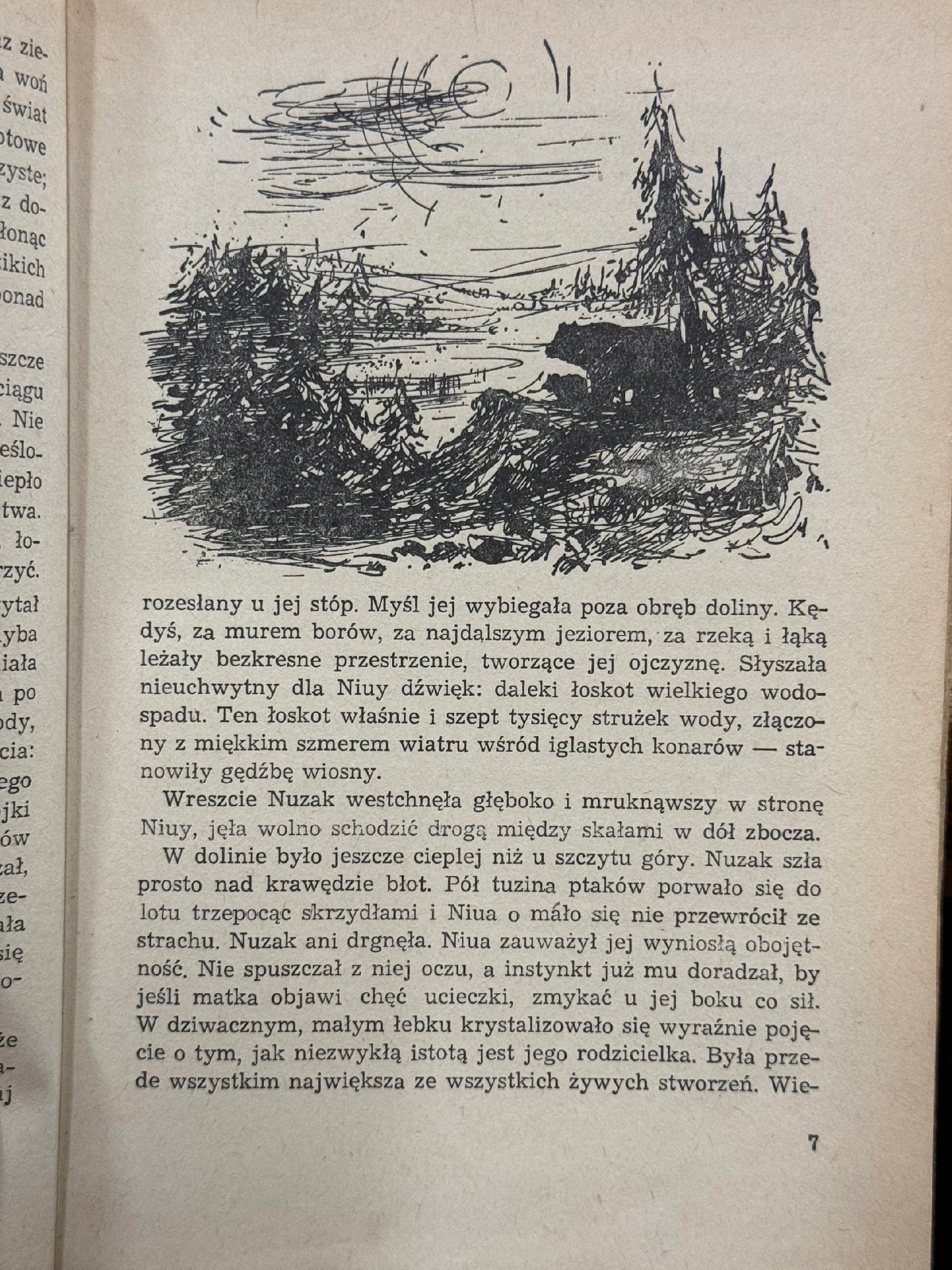 Włóczęgi północy James Oliver Curwood [1954][il. i okładka J. Grabiański]