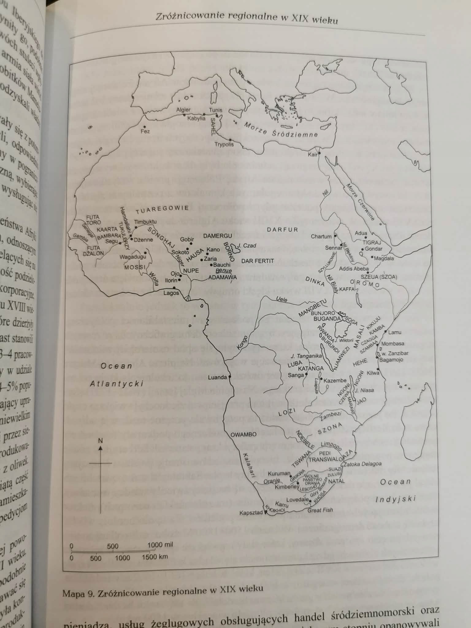 Afrykanie. Dzieje kontynentu, John Iliffe