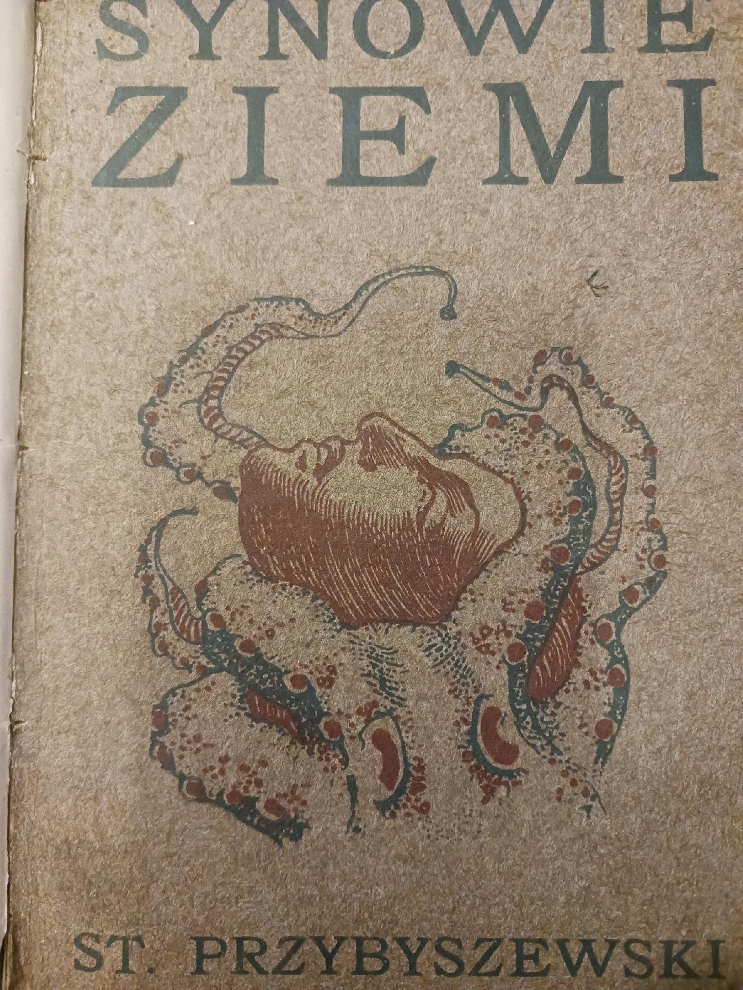 Synowie Ziemi Stanisław Przybyszewski I wydanie [rok 1904]