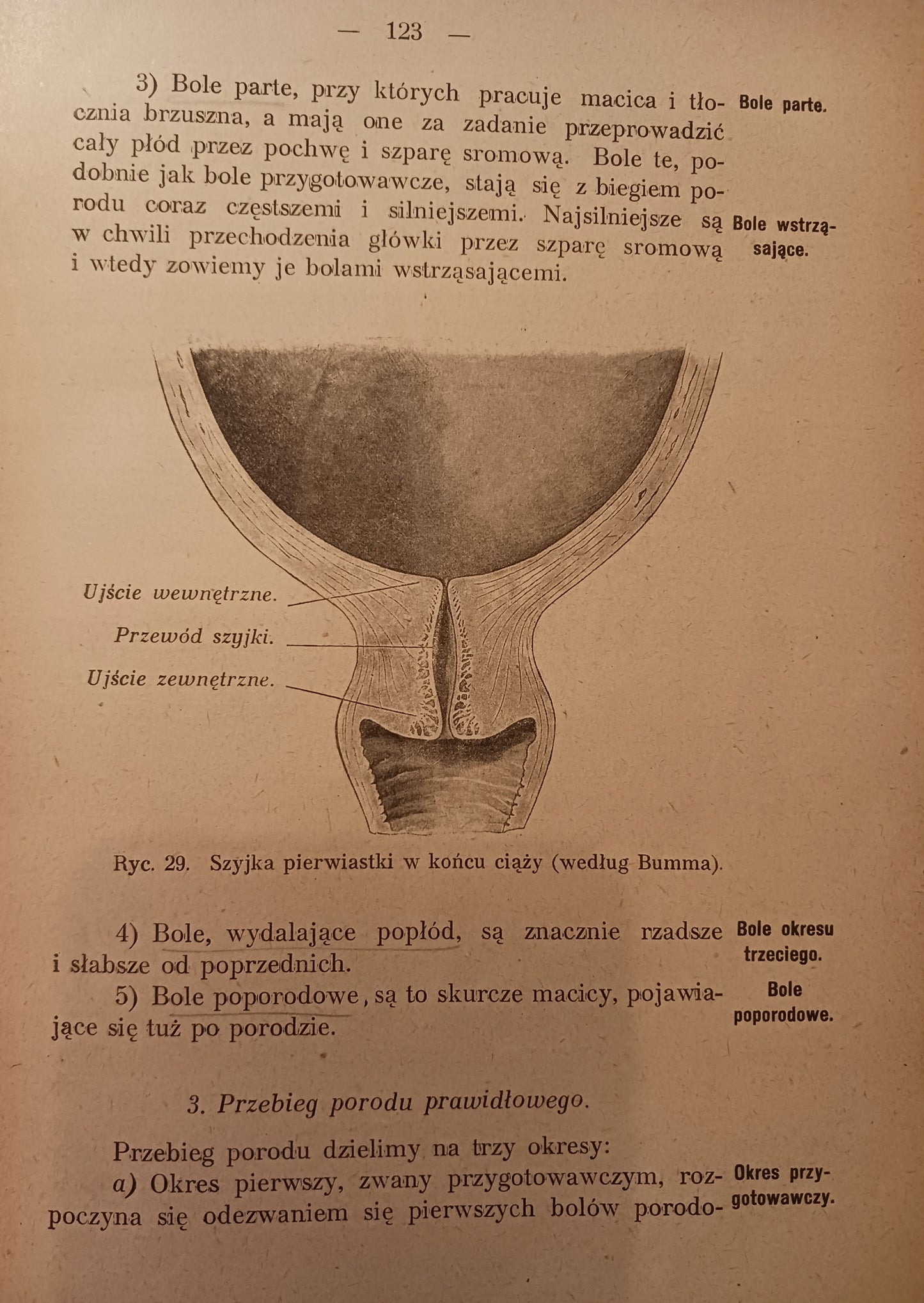 Nauka położnictwa dla użytku położnych Stanisław Dobrowolski [wyd. 1912r.]