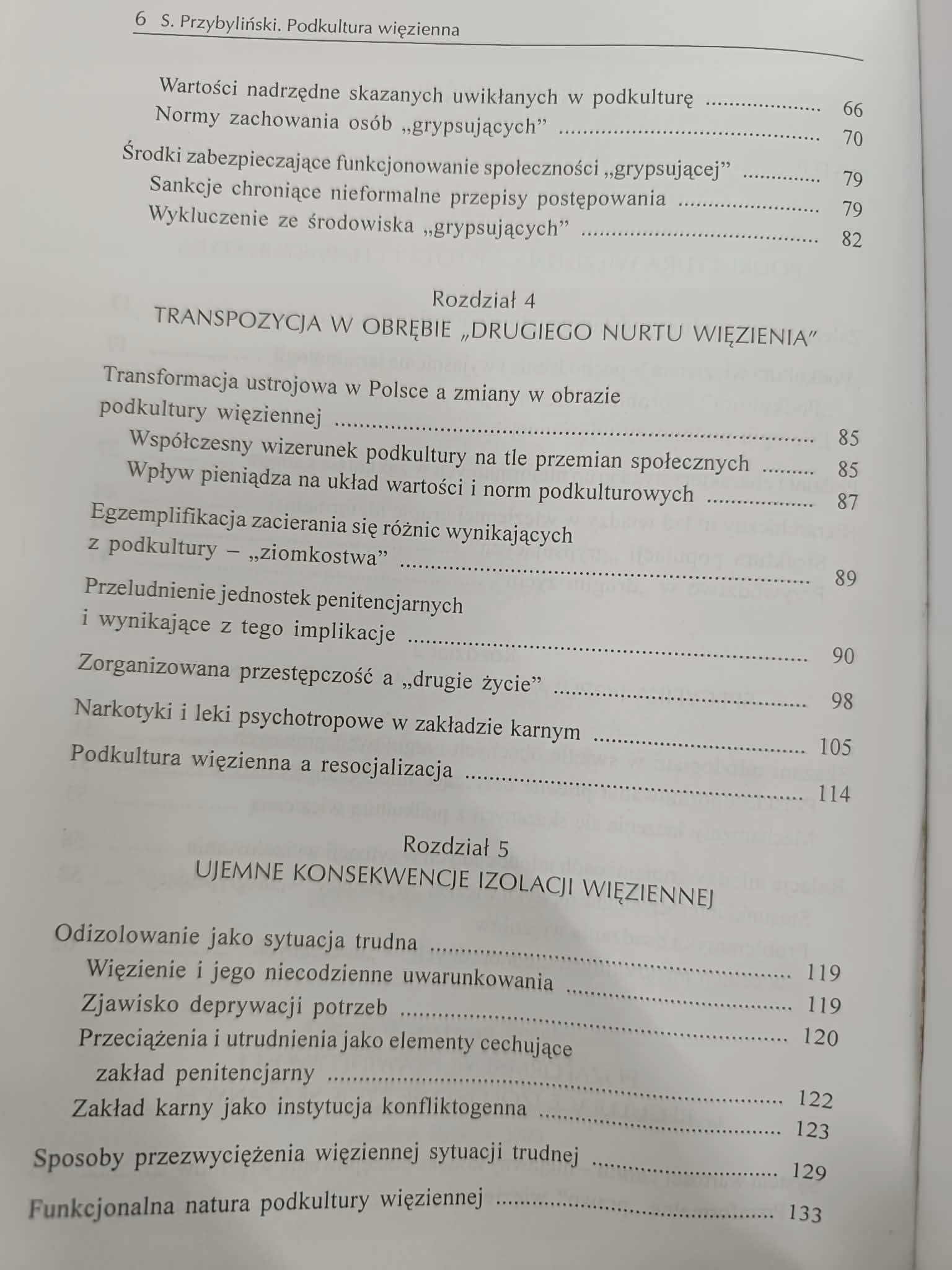 Sławomir Przybyliński Podkultura więzienna wielowymiarowość rzeczywistości