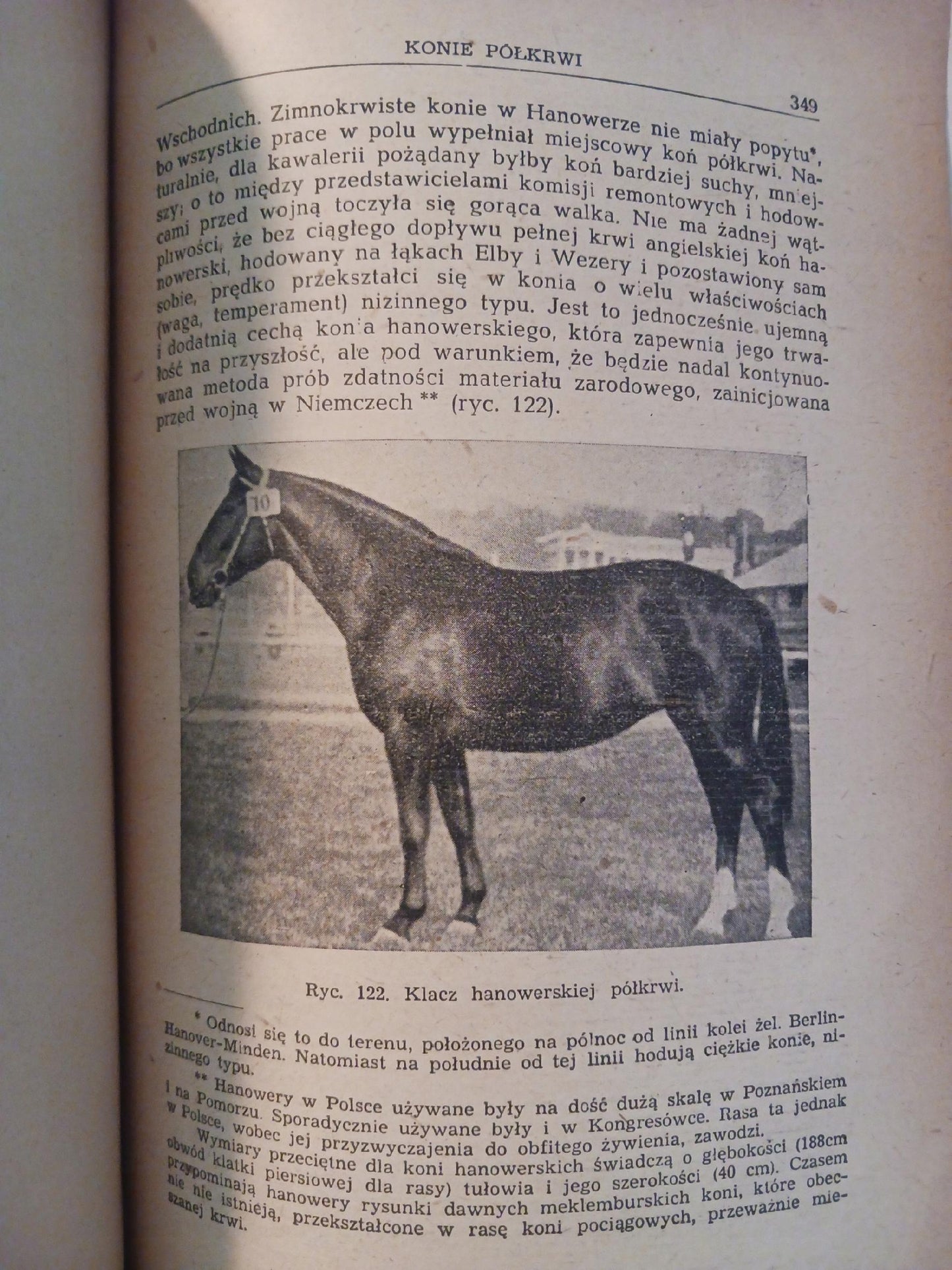 Hodowla koni Tomy I - II Roman Prawocheński [wydania z lat 1947, 1948]