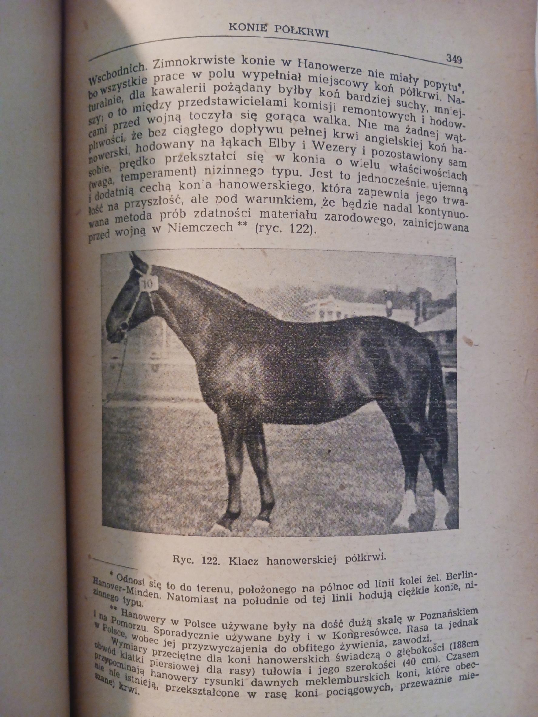 Hodowla koni Tomy I - II Roman Prawocheński [wydania z lat 1947, 1948]