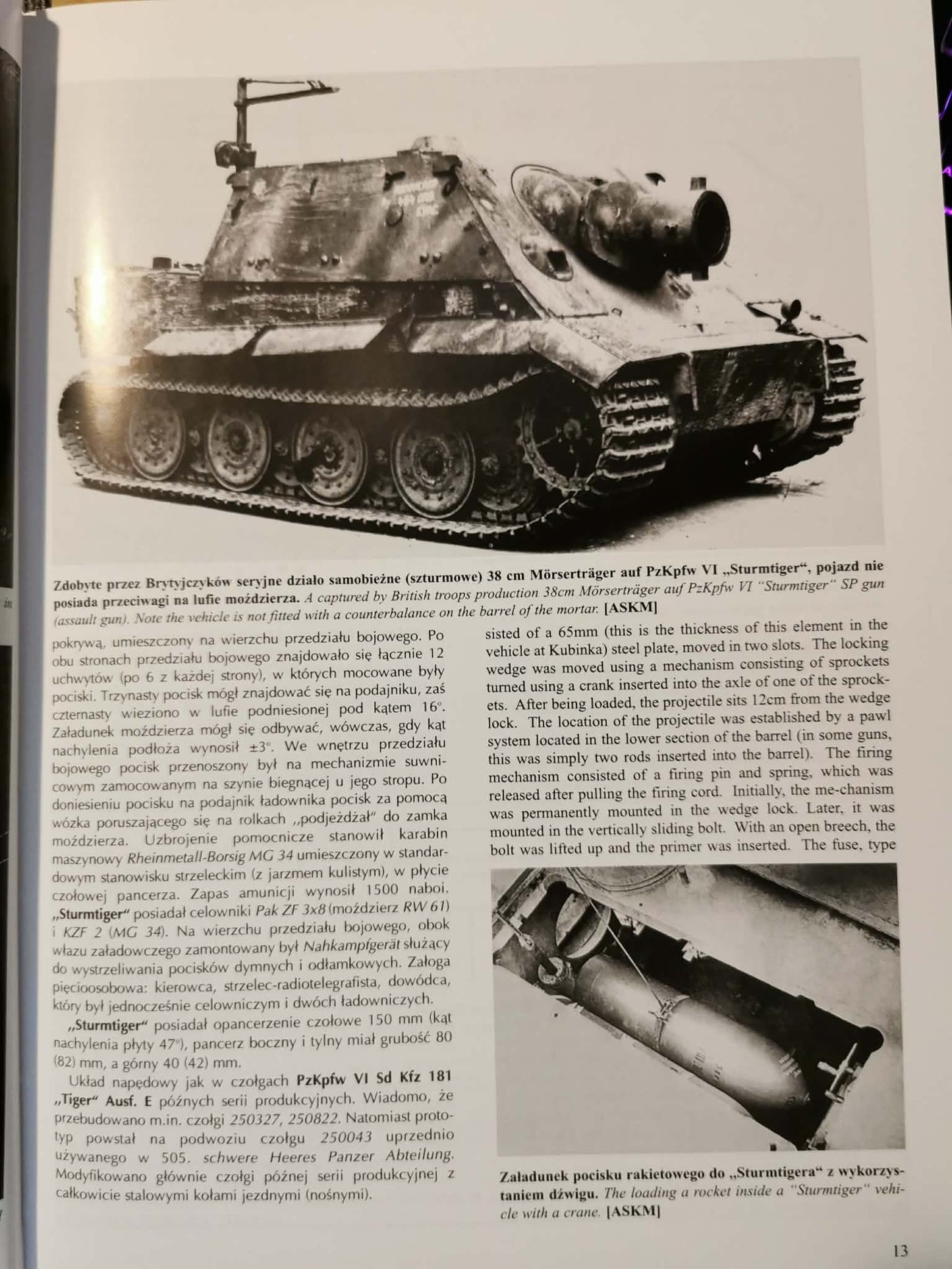 Sturmtiger Maus 293, Janusz Ledwoch