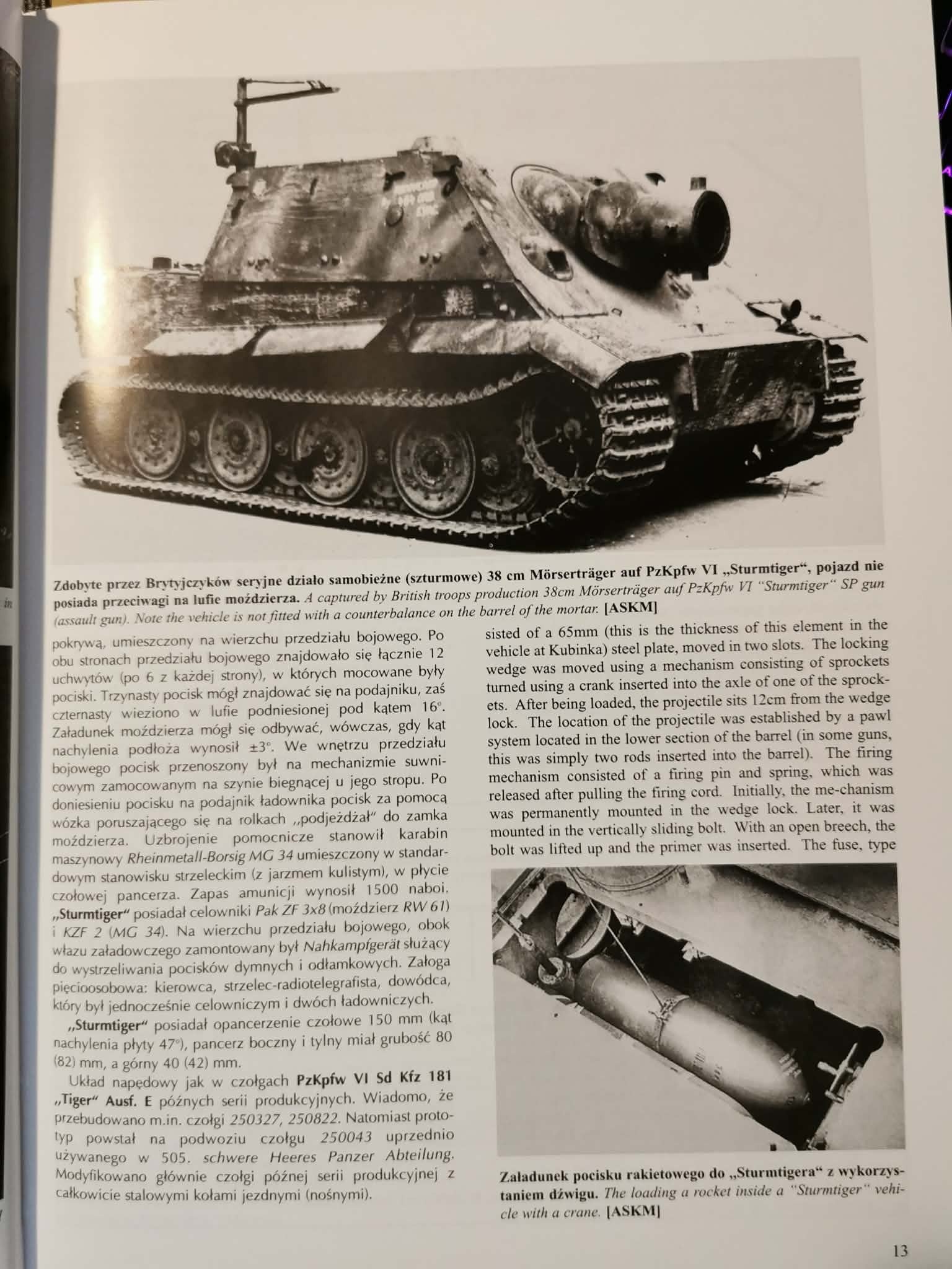 Sturmtiger Maus 293, Janusz Ledwoch