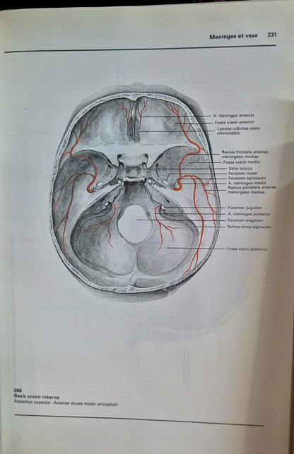 Atlas anatomii człowieka Tom 1-3 Bertolini / Leutert