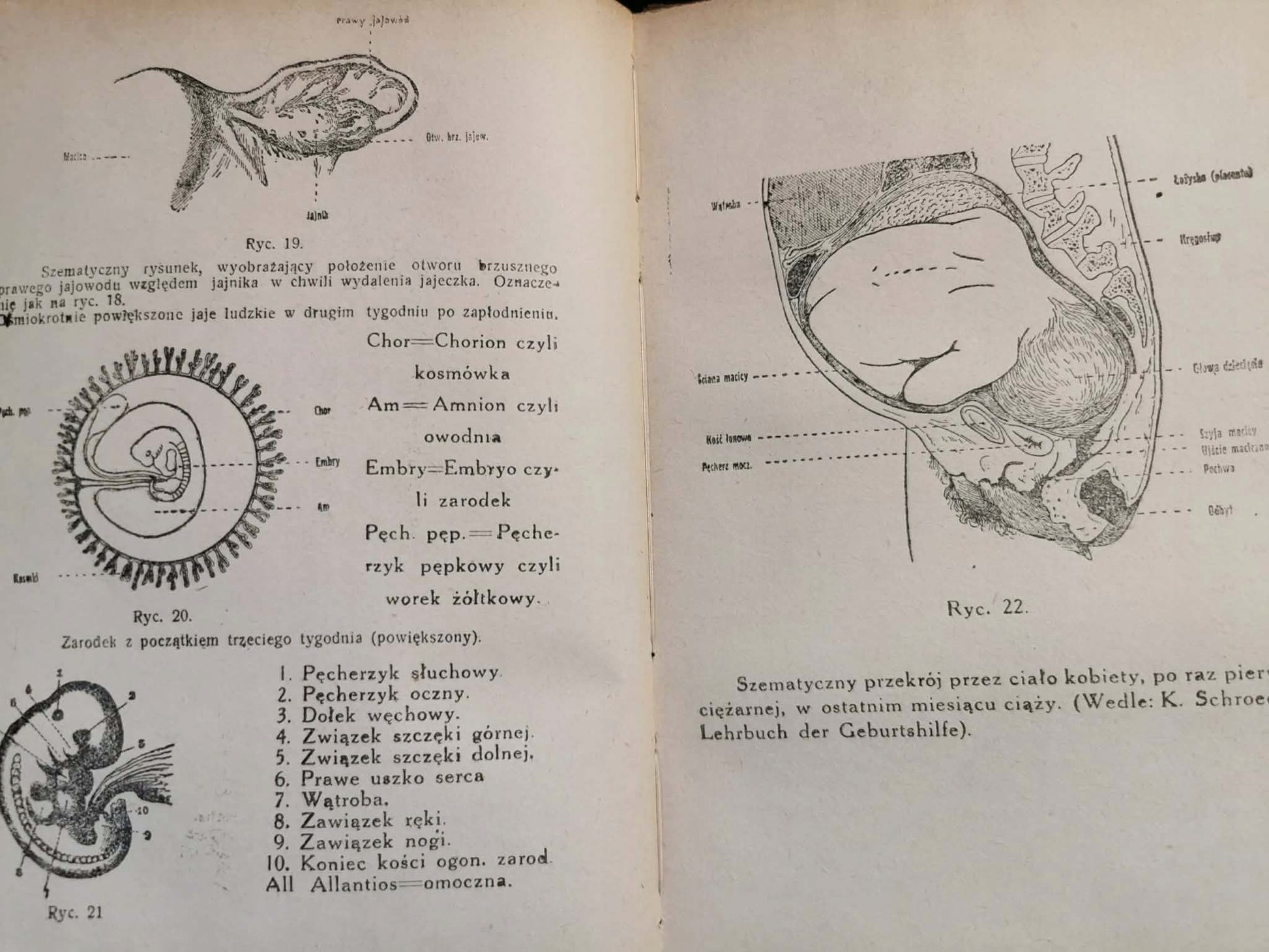 Zagadnienia seksualne t. I, A. Forel [książka przedwojenna 1920]