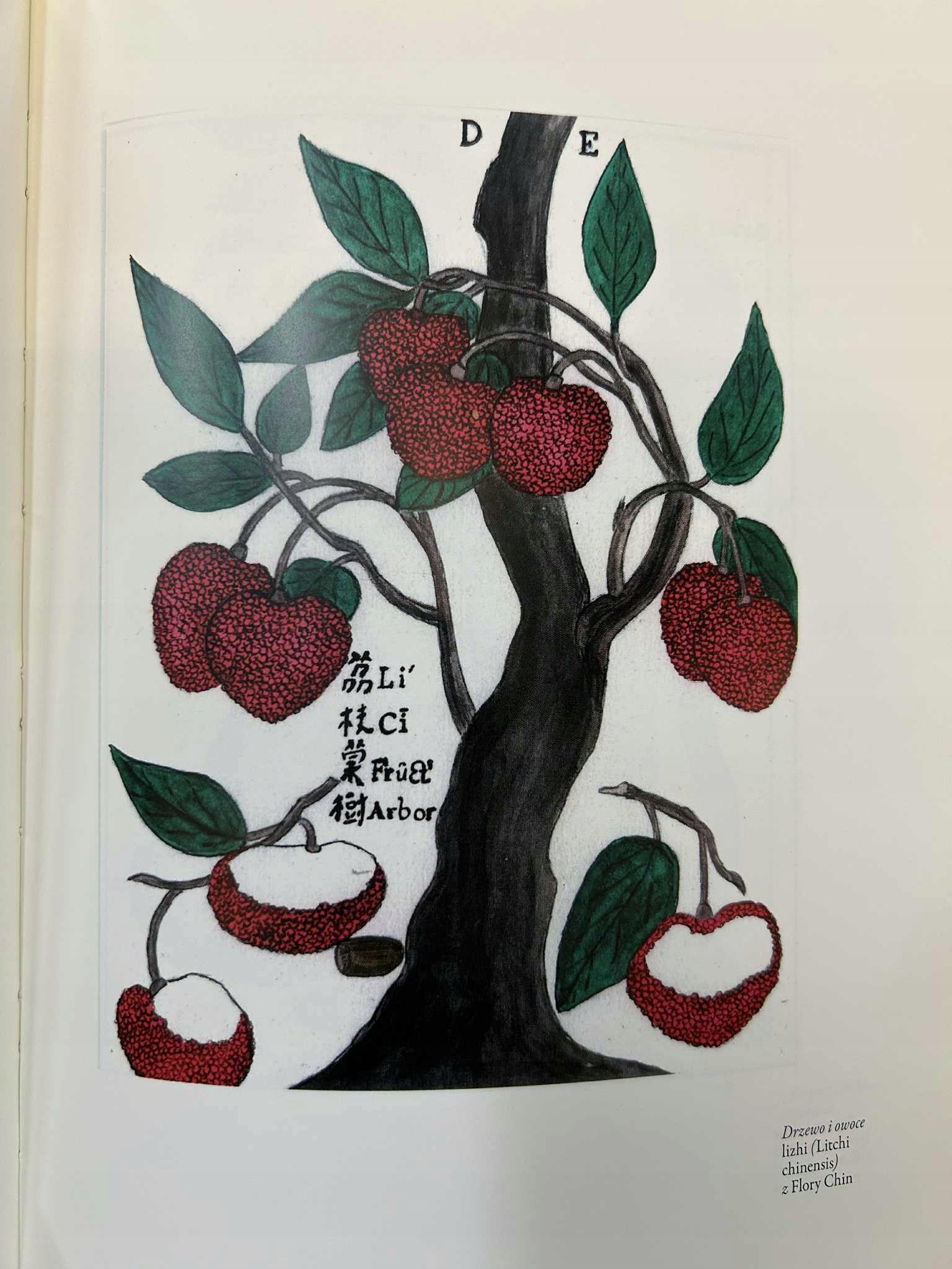 2b2f08ba464ce2ce85ae2cb31ed40ed1