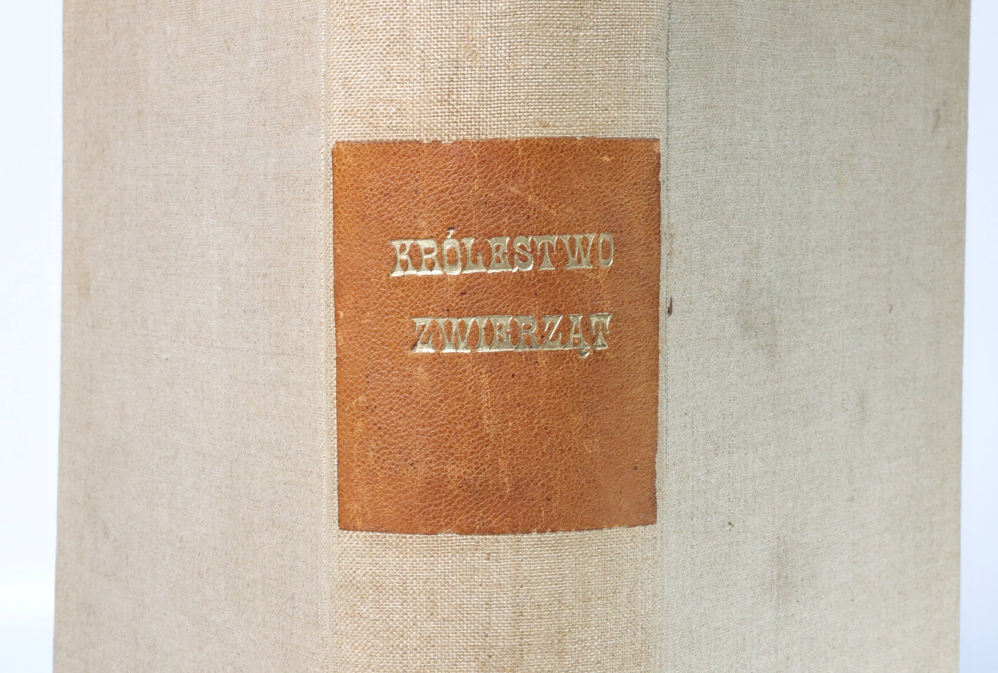 Królestwo zwierząt, Lakowitz Waldemar [Warszawa 1893]