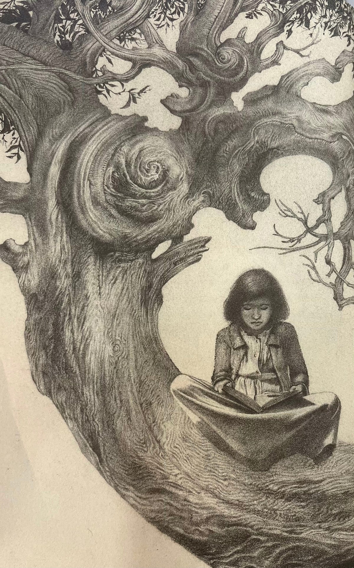 Guillermo del Toro, Cornelia Funke Labirynt Fauna