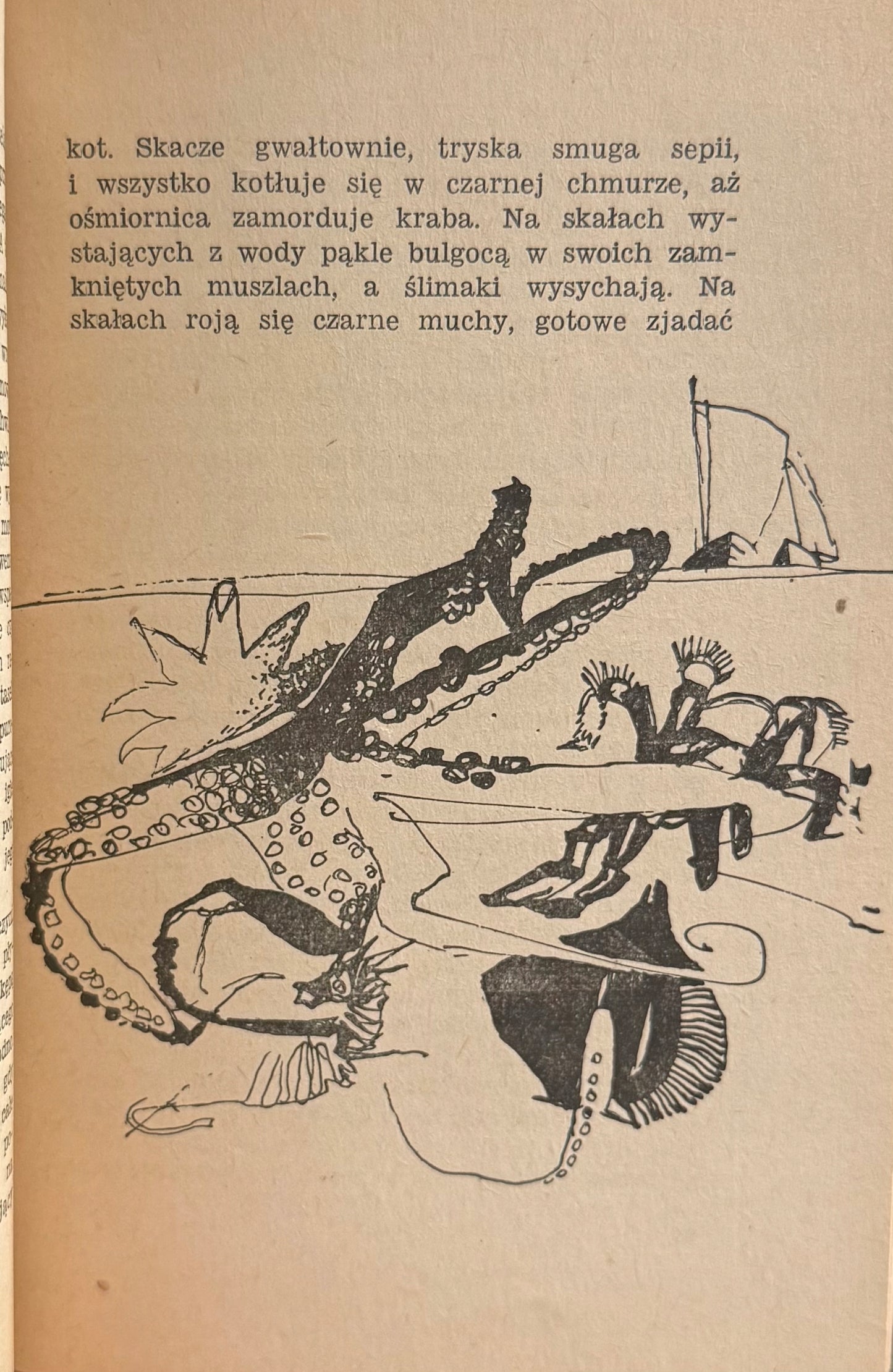 Ulica Nadbrzeżna John Steinbeck (il. Jan S. Miklaszewski)