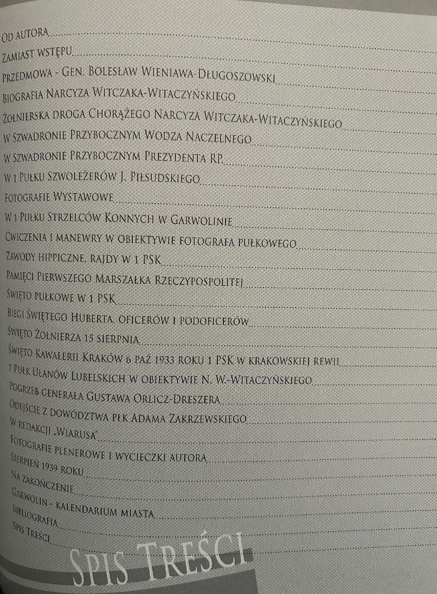 Szwoleżerowie, ułani i strzelcy konni w fotografii Witczaka-Witaczyńskiego