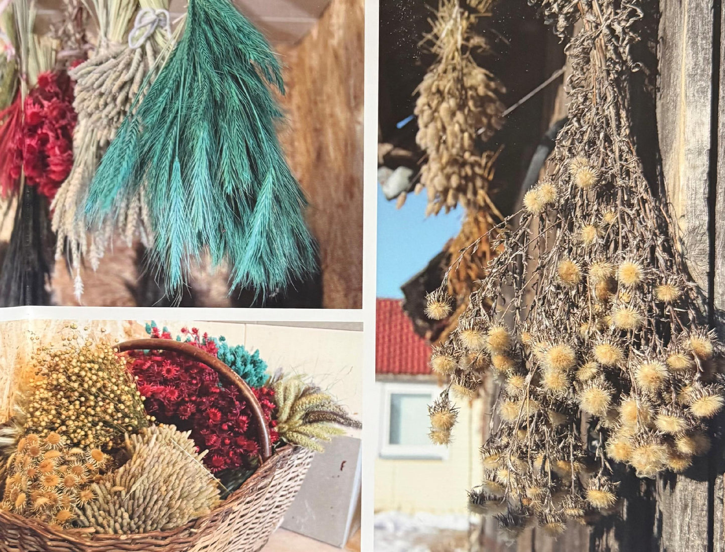 01aaa9b6ac9b94bf655dc39f95d11783