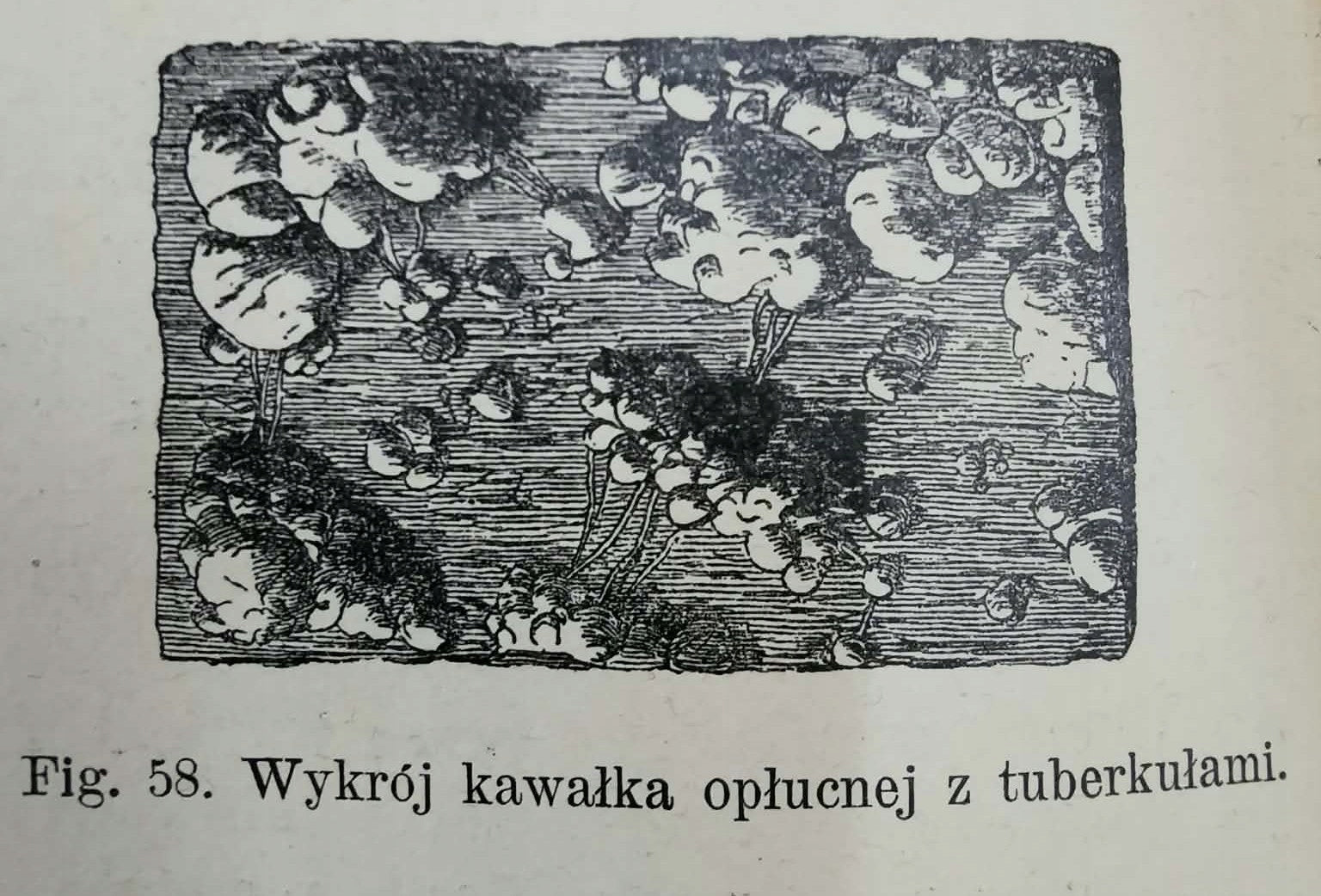 dbf91e40bb63b4dbb5033d14a09f59a1