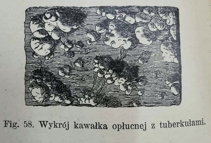 dbf91e40bb63b4dbb5033d14a09f59a1