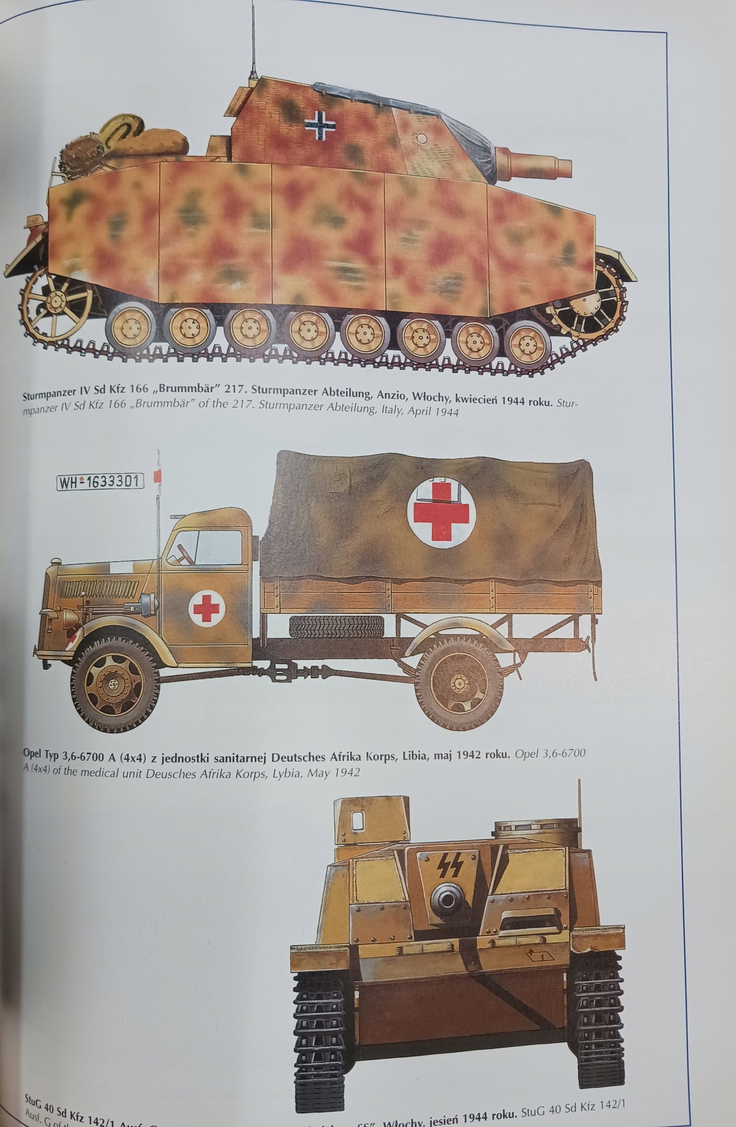 Afryka 1940-1943, Włochy 1943-1945 malowanie i oznakowanie J. Ledwoch