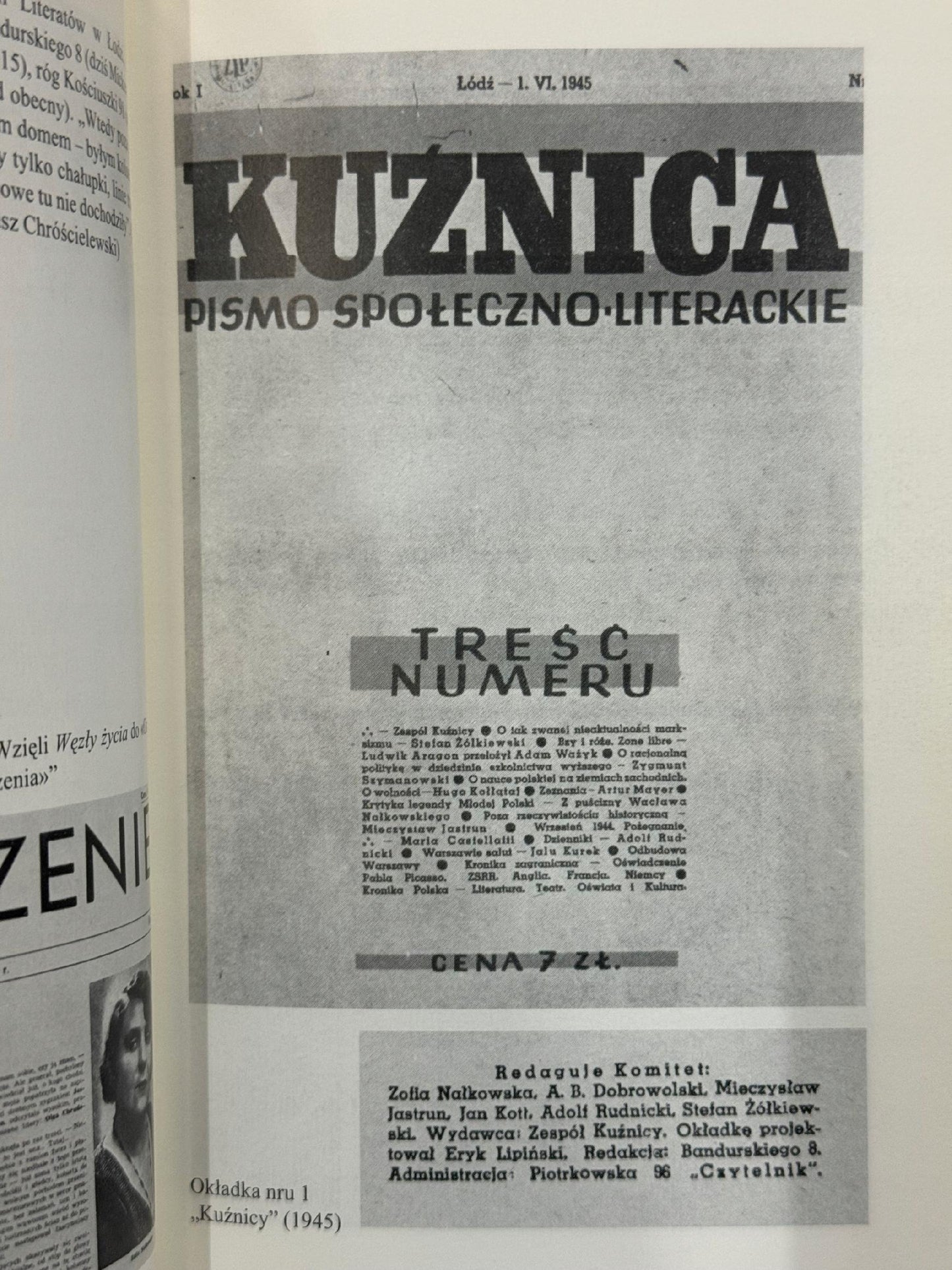 Dzienniki 1945-1954 Tom 6 Część 1 Zofia Nałkowska