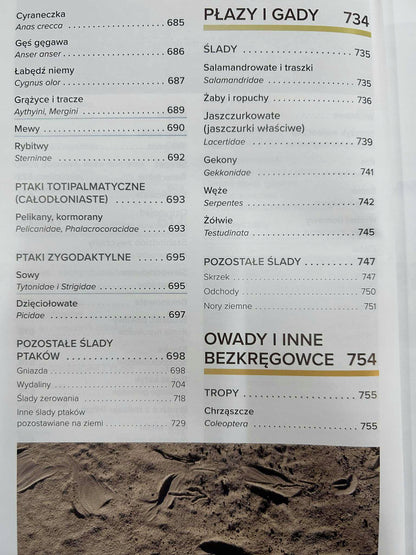 0f969ae01f7118e793ae8e789bff2f15