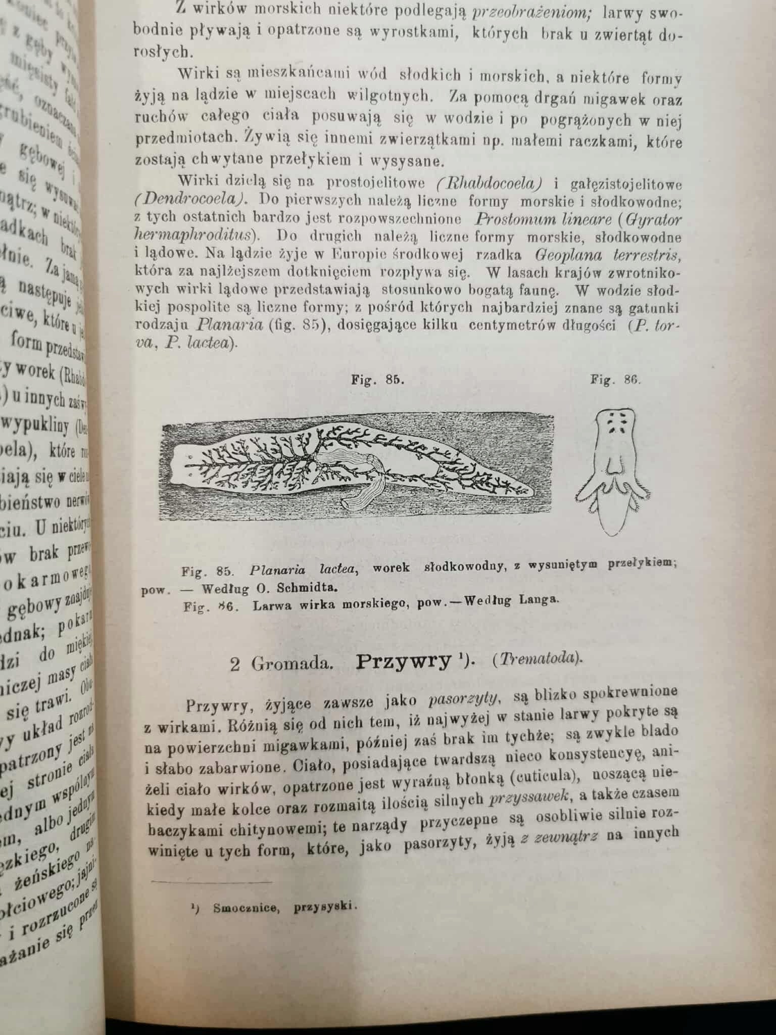 Podręcznik Zoologii, dr. J. E. V. Boas [Warszawa 1893]