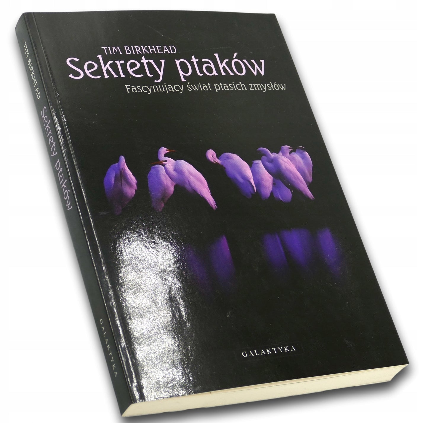Sekrety ptaków. Fascynujący świat ptasich zmysłów Tim Birkhead