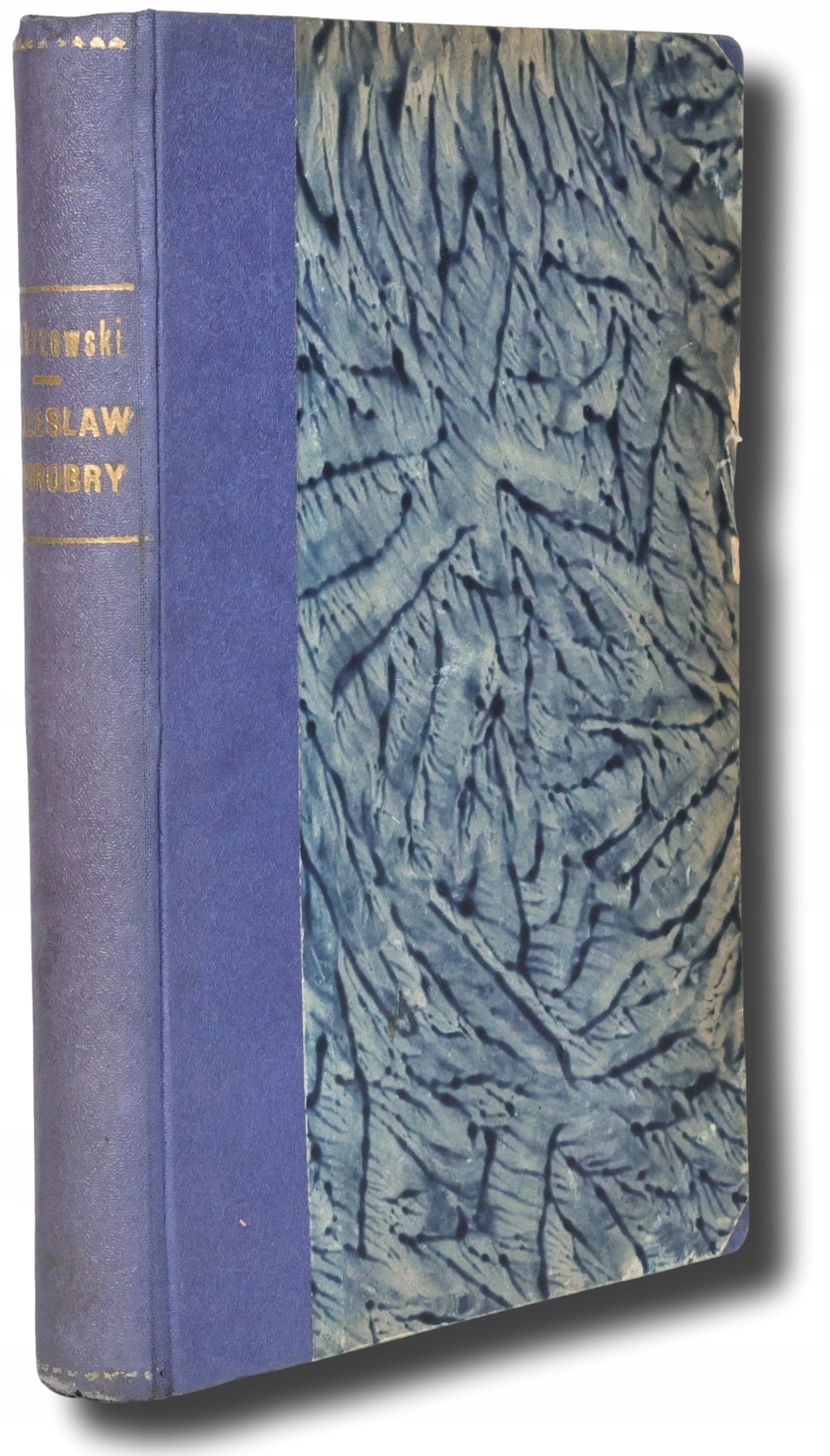 Bolesław Chrobry Wielki, Zakrzewski Stanisław (pierwsze wydanie) [1925]