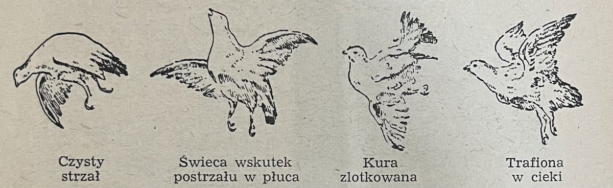 Stanisław Hoppe Polski Język Łowiecki