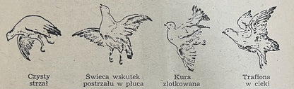 Stanisław Hoppe Polski Język Łowiecki