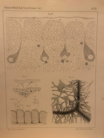 674f0d9e2ae24b3378ff950461250578