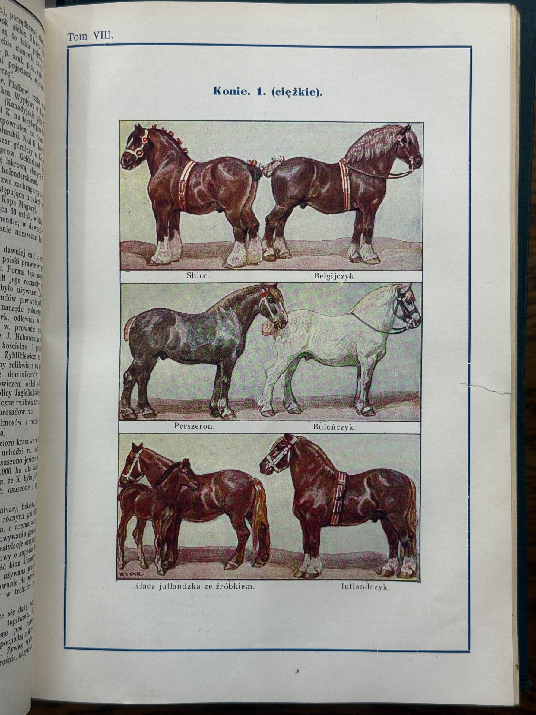 Encyklopedia Powszechna Wydawnictwa Gutenberga Tomy 1-20