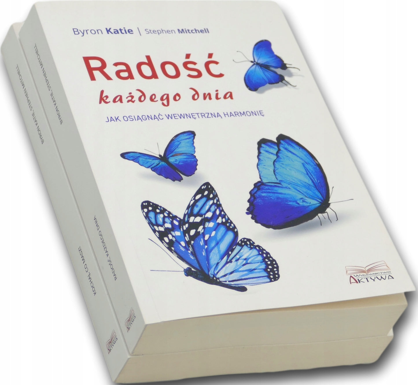 Byron Katie, Stephen Mitchell x2 Radość każdego dnia, Kochaj co masz