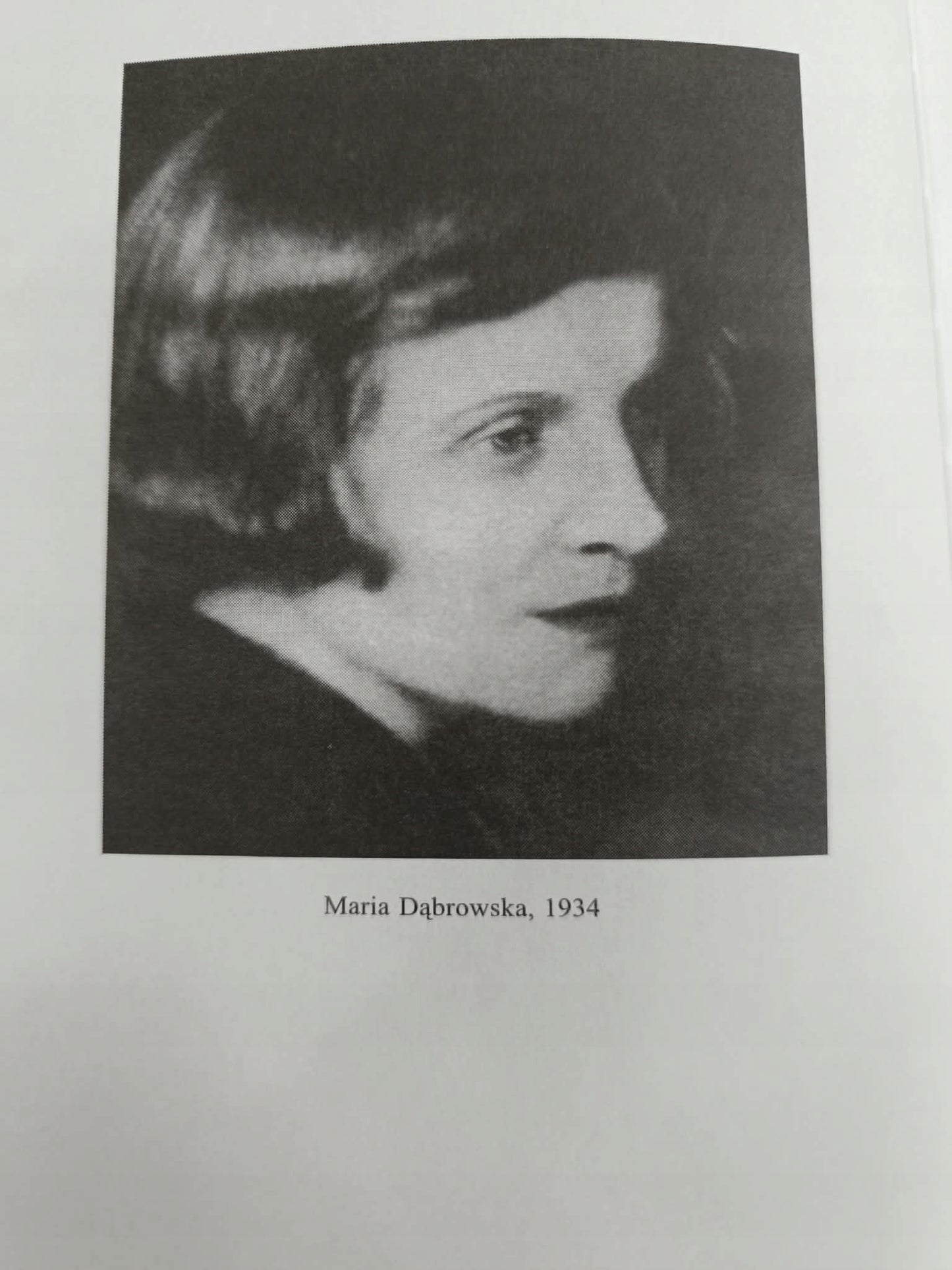 Dzienniki 1914 - 1945, Tom 3, Maria Dąbrowska