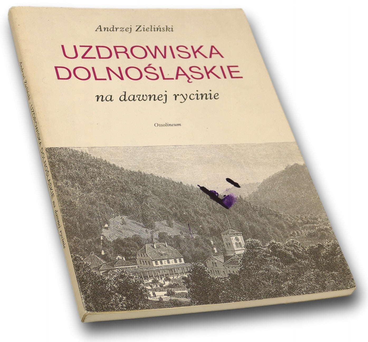 Uzdrowiska dolnośląskie na dawnej rycinie Andrzej Zieliński