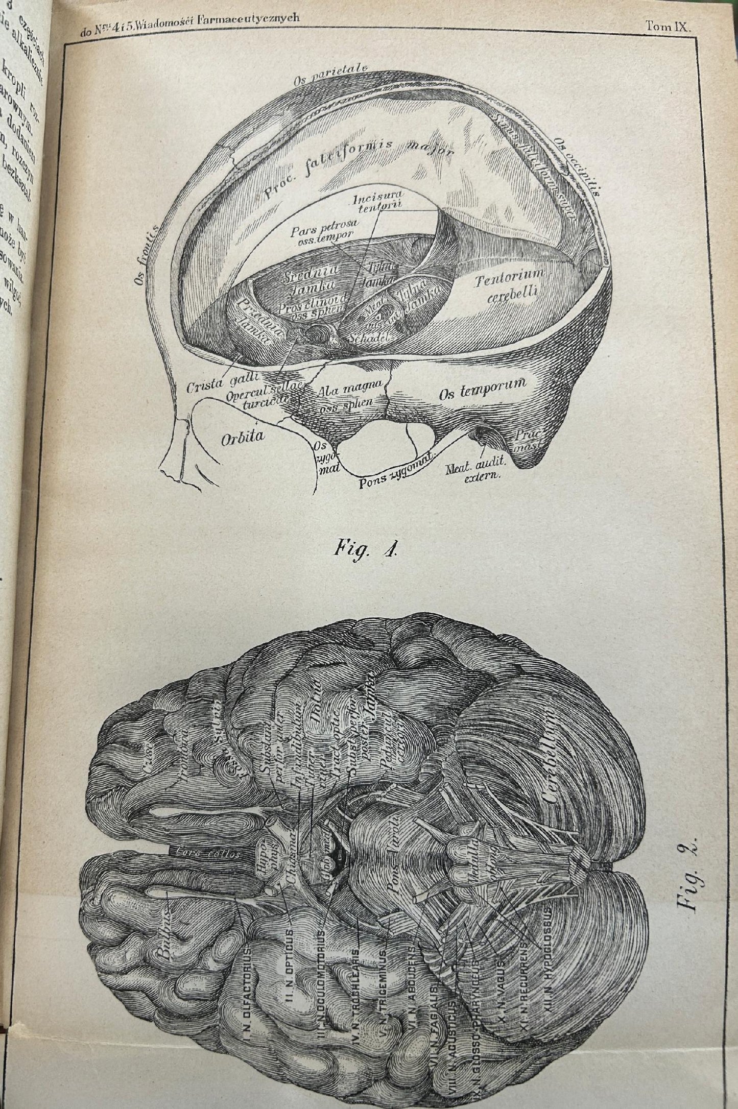 Wiadomości farmaceutyczne Tom IX - pod redakcją Jana Mrozowskiego [1882 r.]