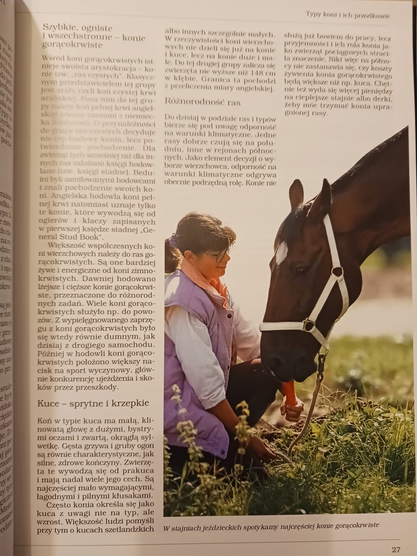 Konie i kuce Christiane Gohl