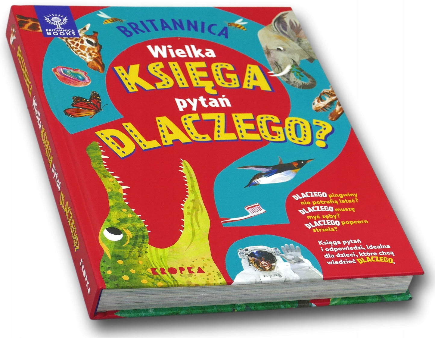 Britannica Wielka księga pytań dlaczego? Sally Symes