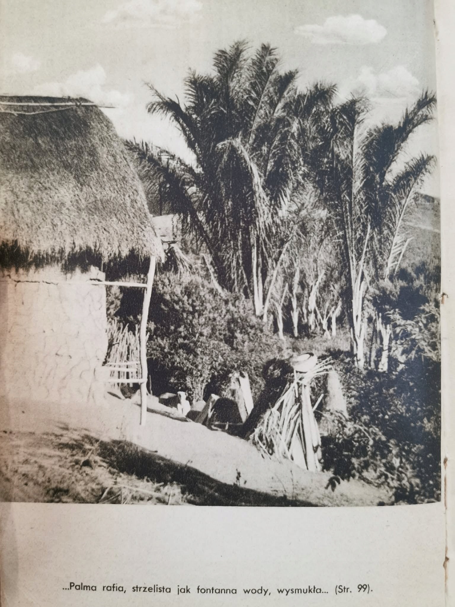 Jutro na Madagaskar!, Arkady Fiedler [III wydanie, 1940]