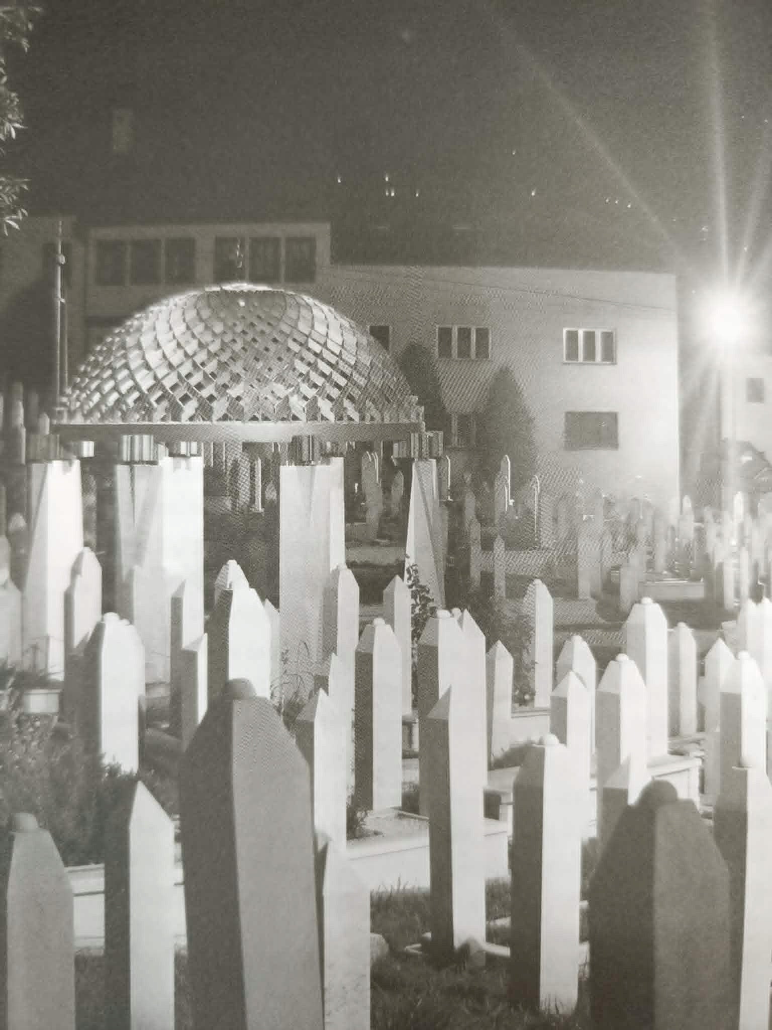 Muszkat cytryna i kurkuma Spojrzenie z Zagrzebia, Jergović Miljenko