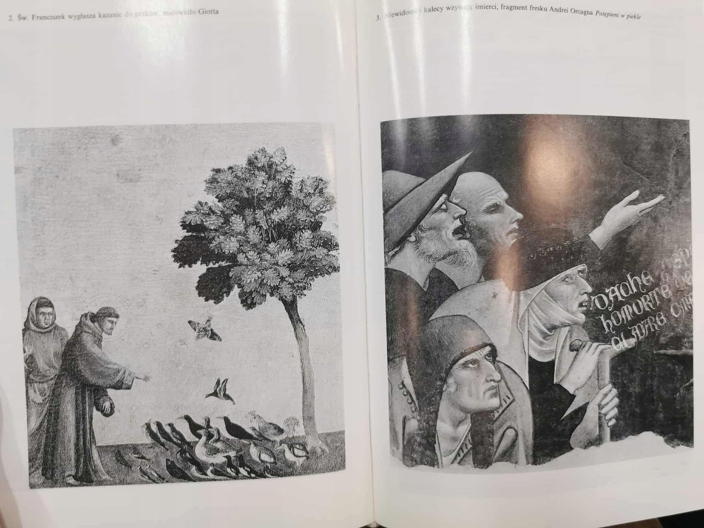 Florencja Świat miasta -Miasto Świata, B.Beuys