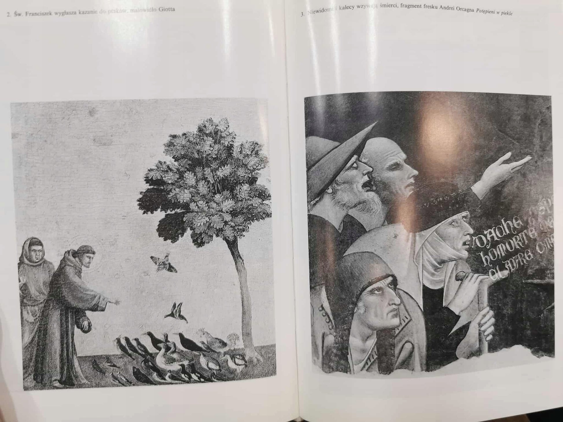 Florencja Świat miasta -Miasto Świata, B.Beuys