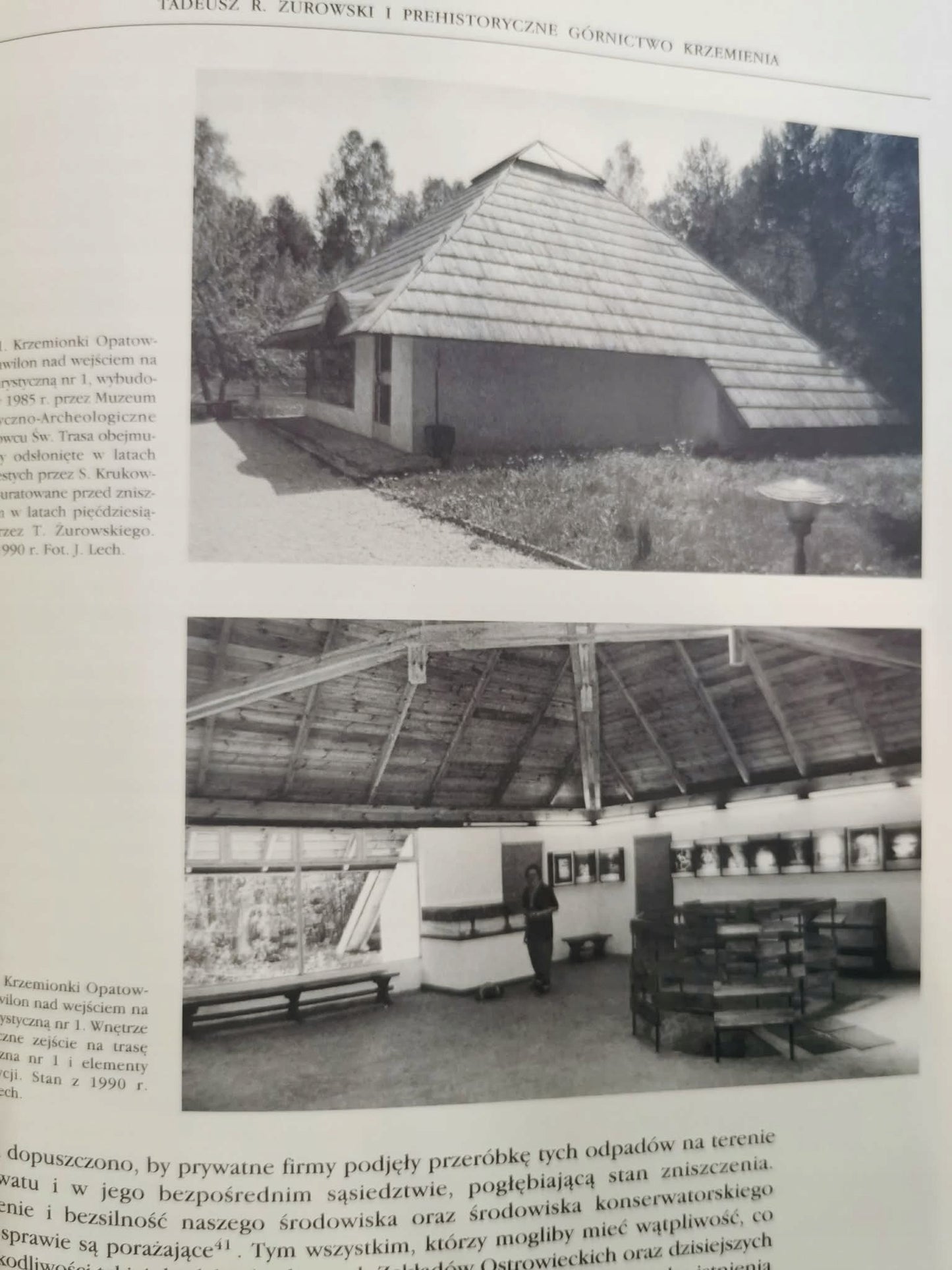 Tadeusz Roman Żukowski i konserwatorstwo archeologiczne w Polsce XX wieku