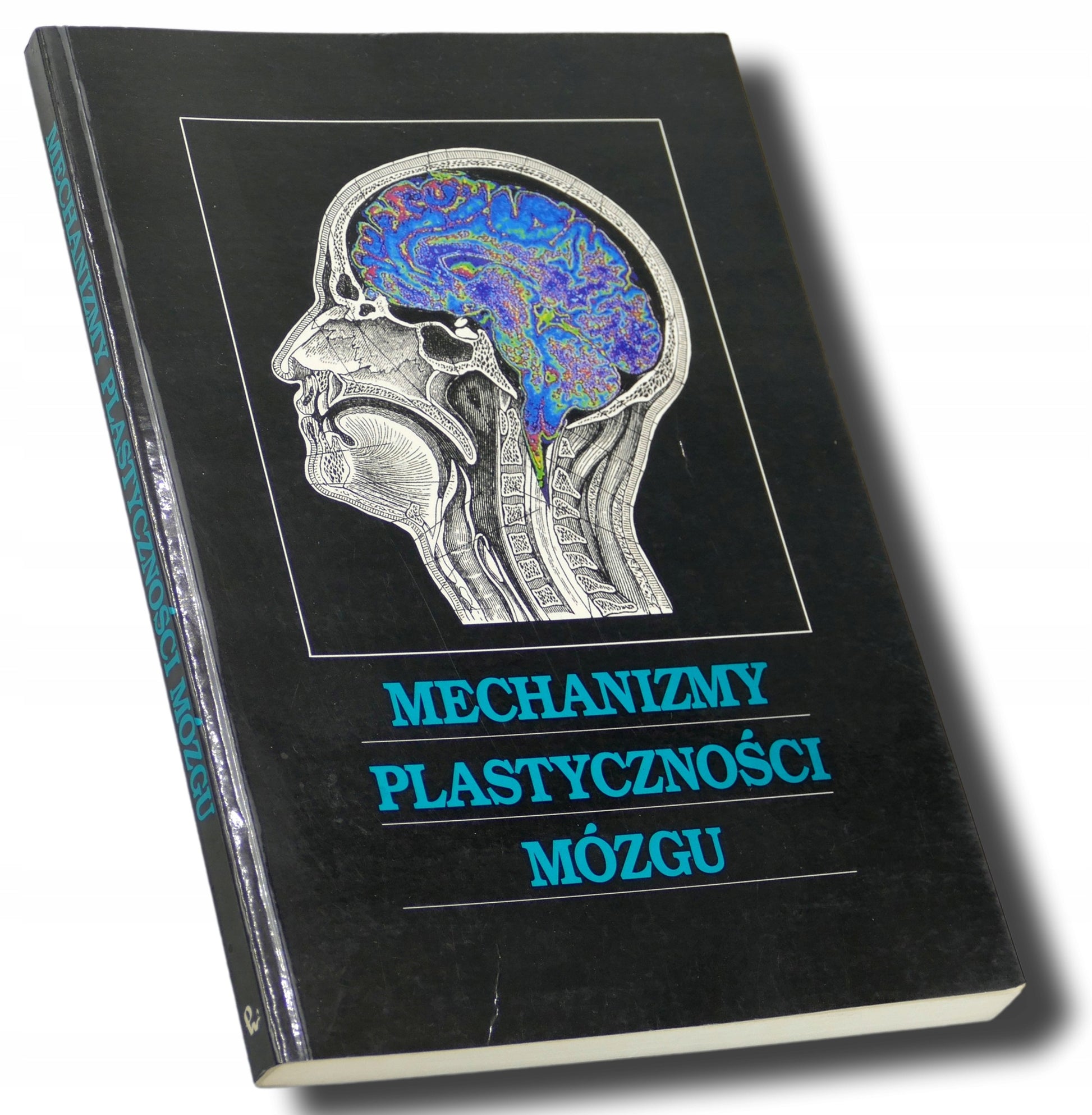 Mechanizmy plastyczności mózgu Praca zbiorowa [Wydawnictwo Naukowe PWN]