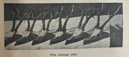 Stanisław Hoppe Polski Język Łowiecki