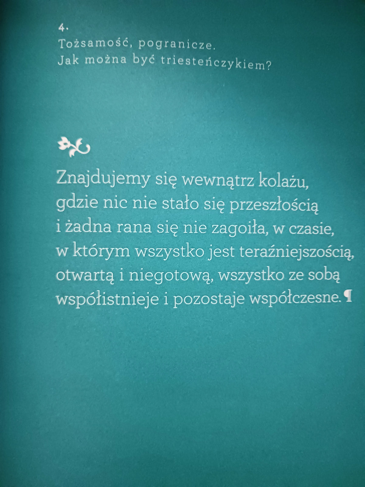 O demokracji, pamięci i Europie Środkowej Claudio Magris